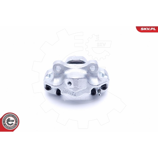 45SKV264 - Brake Caliper 