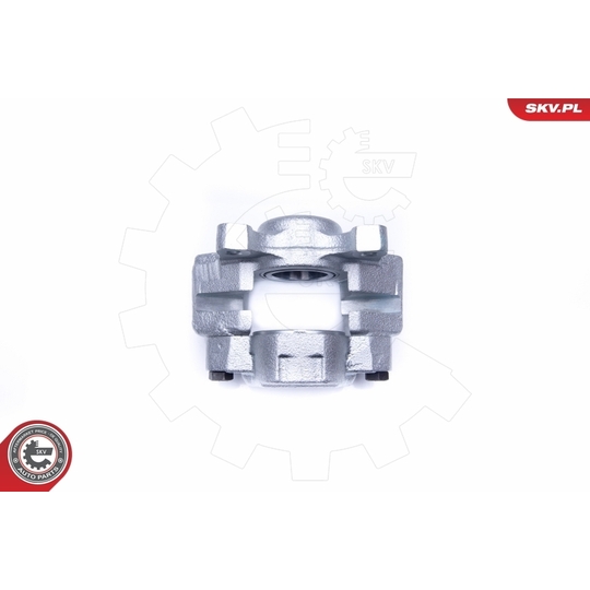 45SKV282 - Brake Caliper 