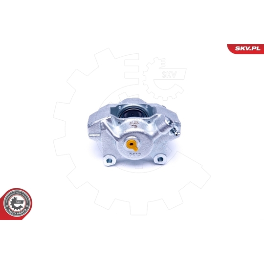 45SKV282 - Brake Caliper 