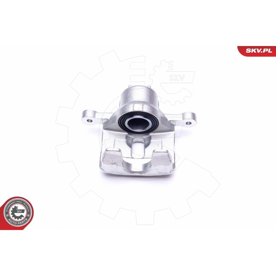 42SKV473 - Brake Caliper 