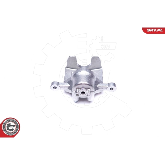 42SKV473 - Brake Caliper 