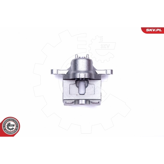 42SKV473 - Brake Caliper 