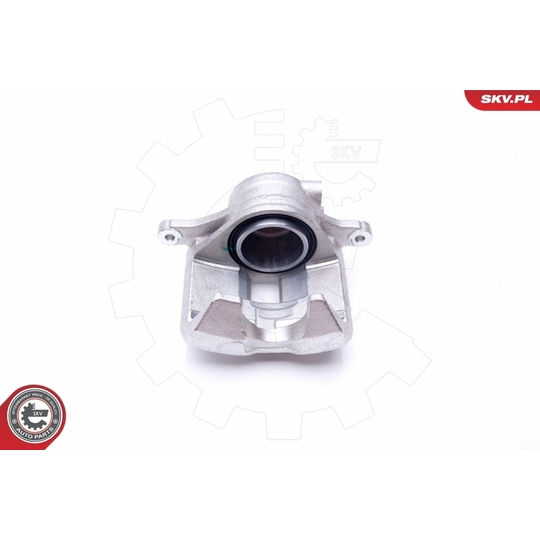 45SKV701 - Brake Caliper 