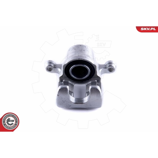 55SKV024 - Brake Caliper 