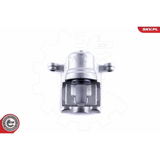 55SKV024 - Brake Caliper 