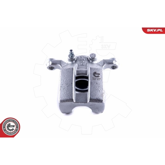 55SKV024 - Brake Caliper 