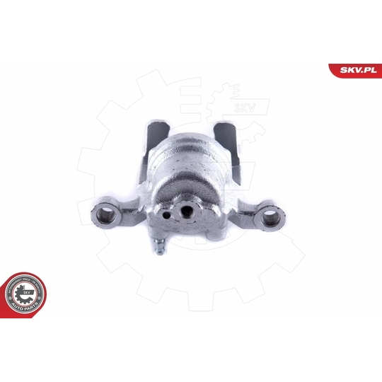 55SKV024 - Brake Caliper 