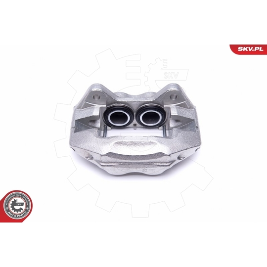 46SKV731 - Brake Caliper 