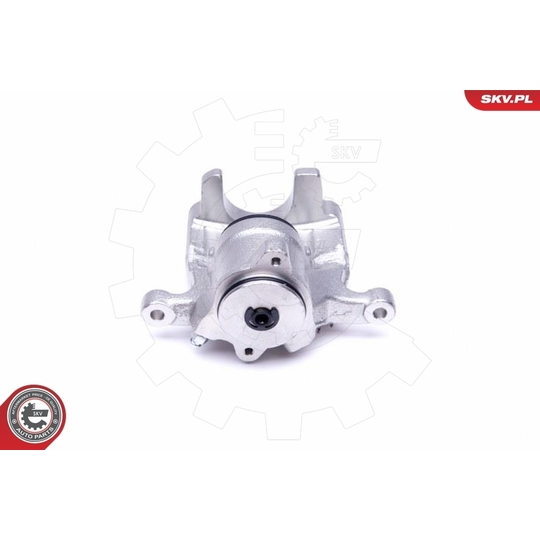 44SKV033 - Brake Caliper 