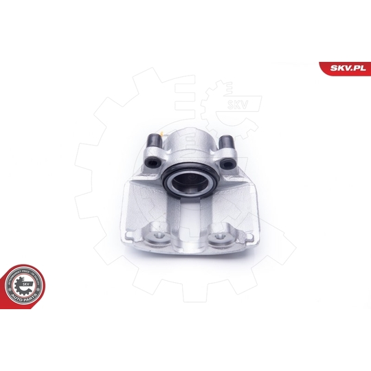 42SKV032 - Brake Caliper 