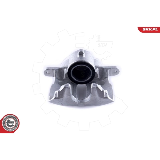 55SKV171 - Brake Caliper 