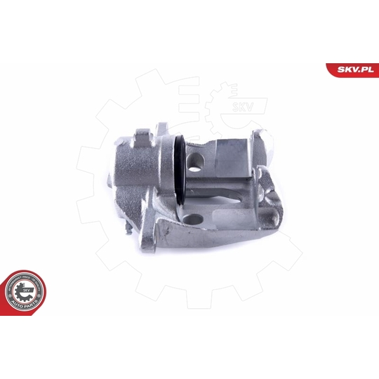 55SKV171 - Brake Caliper 