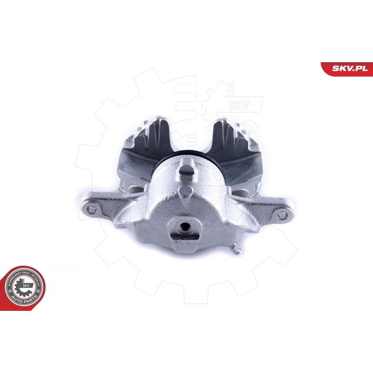 55SKV171 - Brake Caliper 