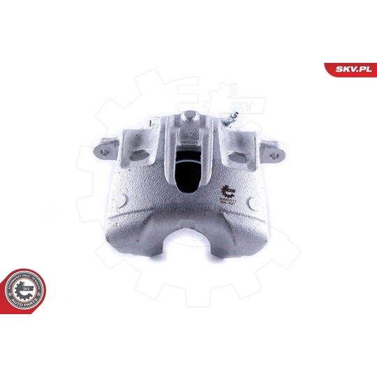 55SKV171 - Brake Caliper 