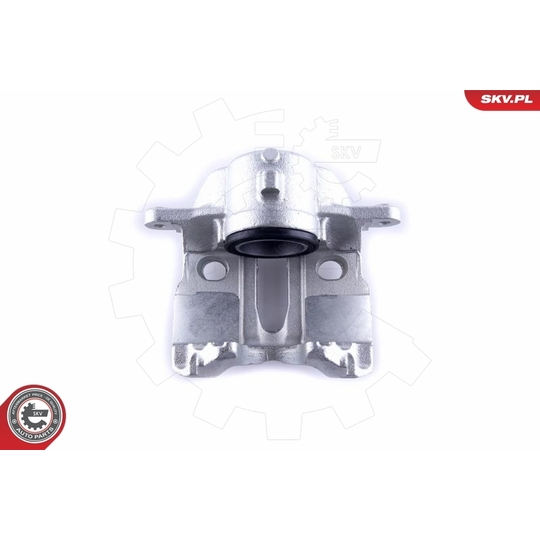 55SKV171 - Brake Caliper 