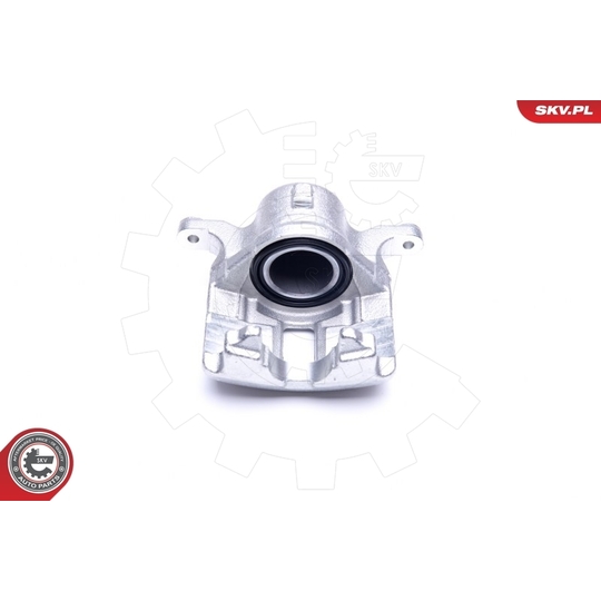 44SKV971 - Brake Caliper 