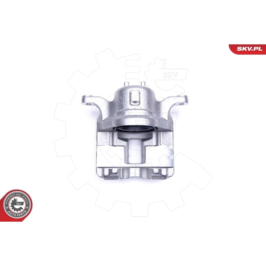 44SKV971 - Brake Caliper 