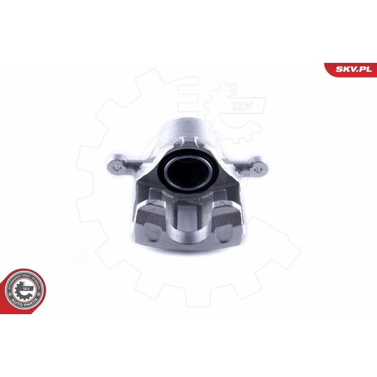 50SKV781 - Brake Caliper 