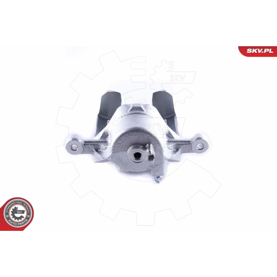 50SKV781 - Brake Caliper 