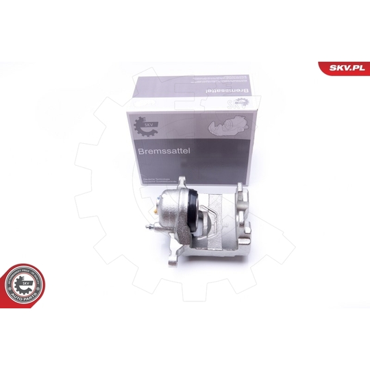 42SKV501 - Brake Caliper 