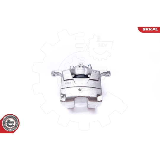 42SKV501 - Brake Caliper 