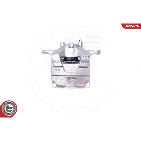 42SKV501 - Brake Caliper 