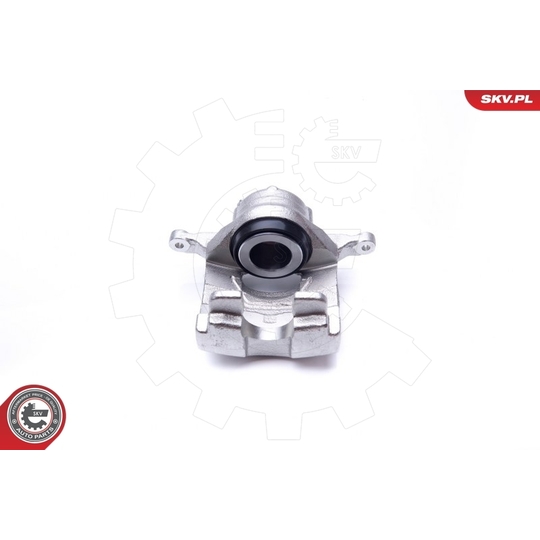 42SKV501 - Brake Caliper 