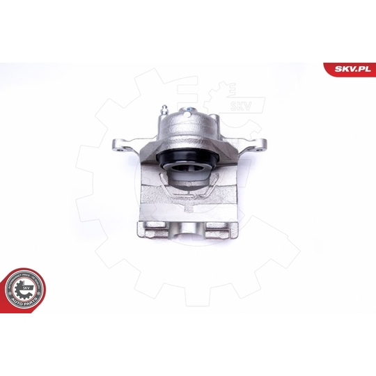 42SKV501 - Brake Caliper 