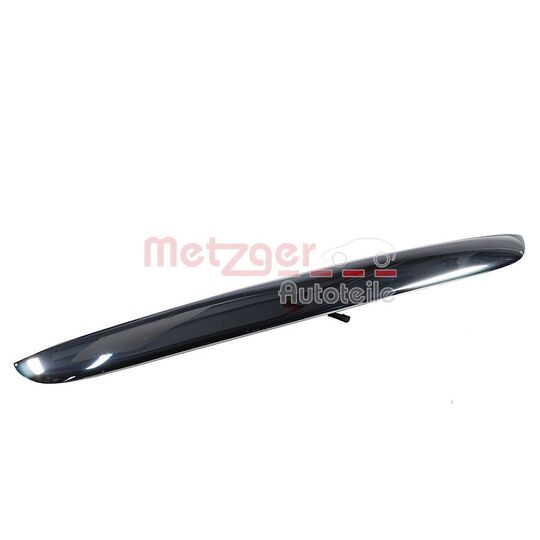 2310767 - Tailgate Handle 