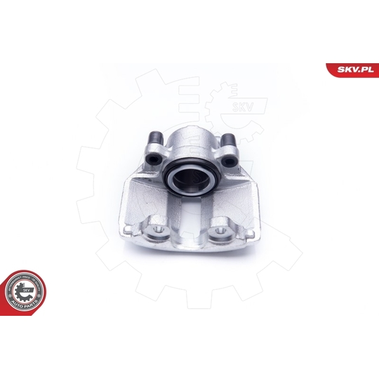 42SKV031 - Brake Caliper 