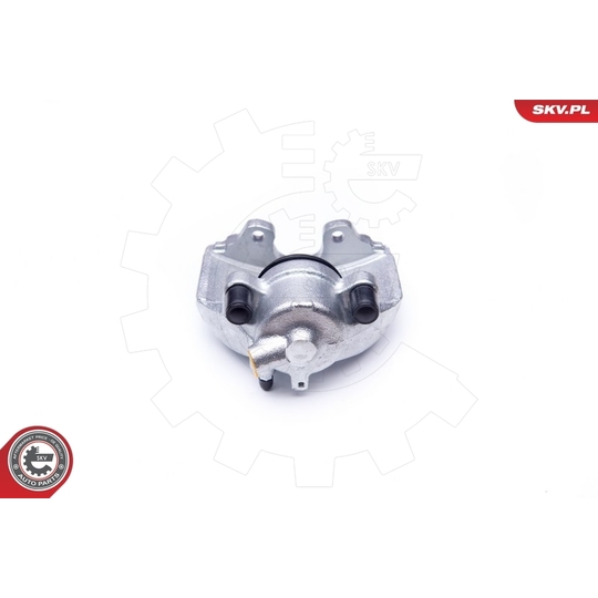 42SKV031 - Brake Caliper 