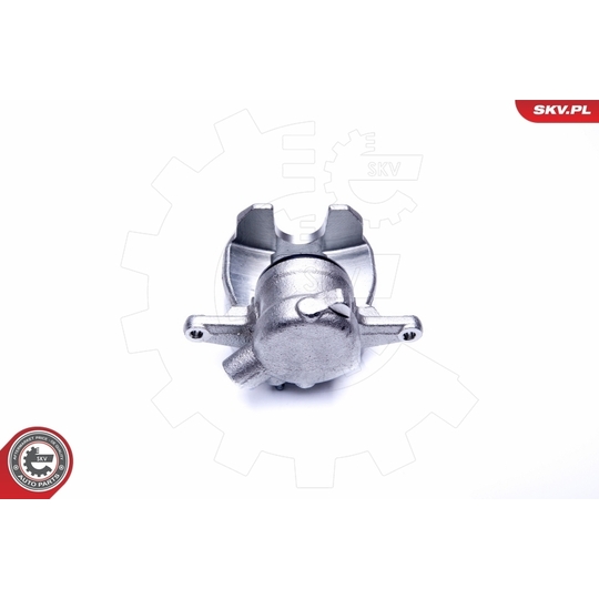 44SKV742 - Brake Caliper 