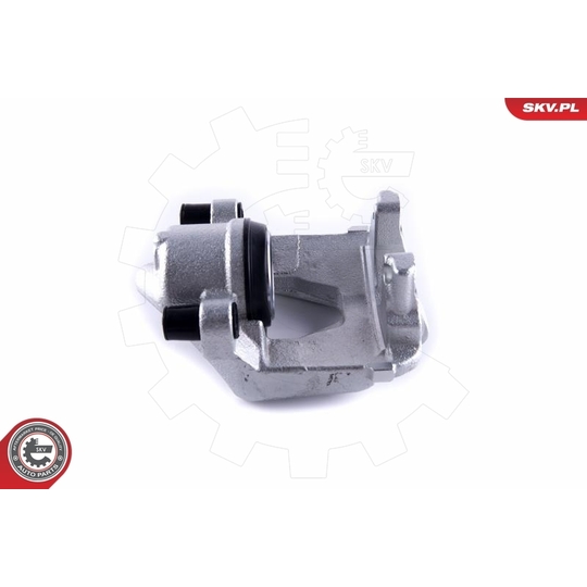 55SKV251 - Brake Caliper 