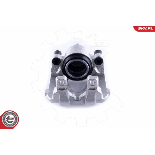 55SKV251 - Brake Caliper 