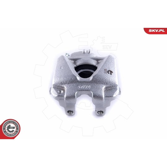 55SKV251 - Brake Caliper 