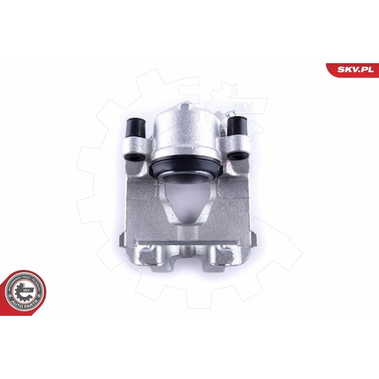 55SKV251 - Brake Caliper 