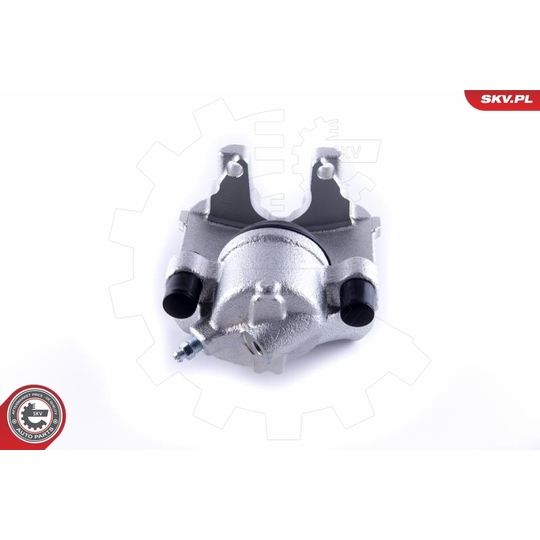 55SKV251 - Brake Caliper 