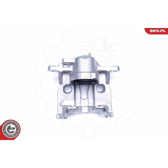 45SKV321 - Brake Caliper 