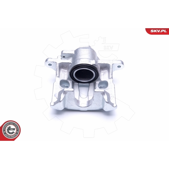 45SKV321 - Brake Caliper 