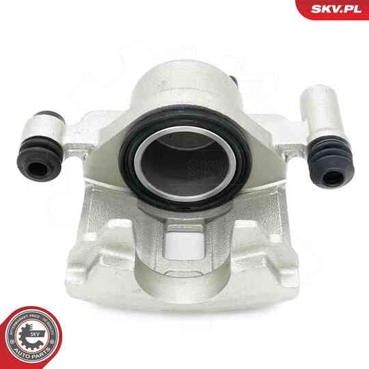 45SKV572 - Brake Caliper 