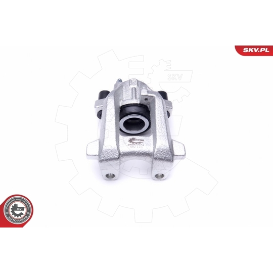 46SKV674 - Brake Caliper 