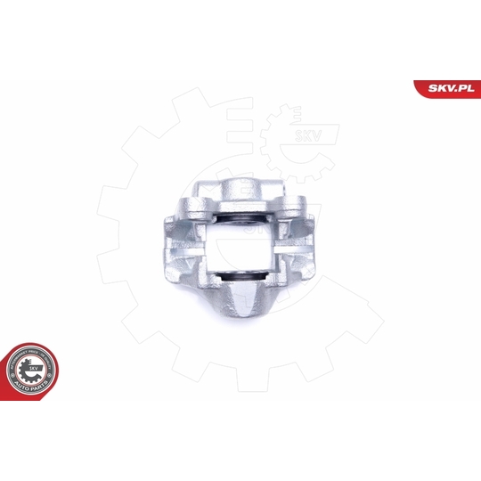 42SKV734 - Brake Caliper 