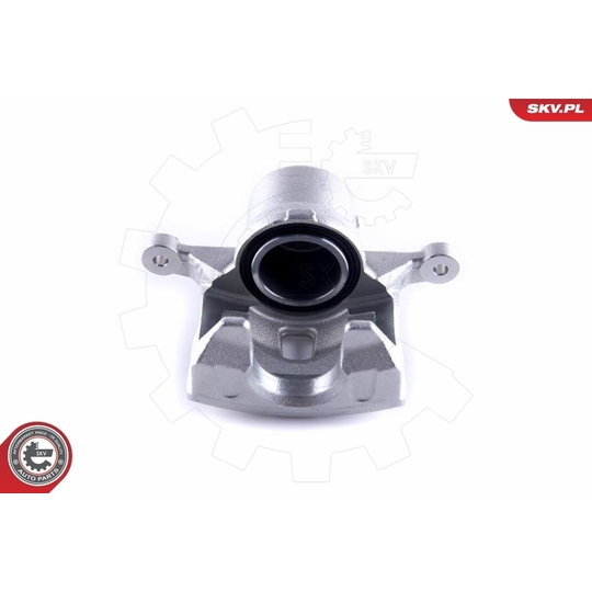 55SKV272 - Brake Caliper 