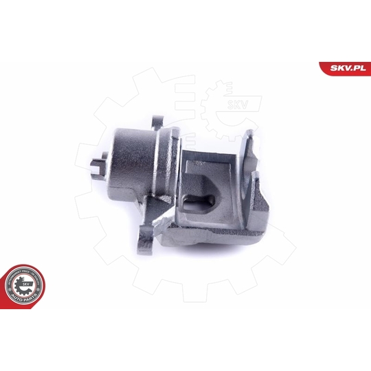 55SKV272 - Brake Caliper 