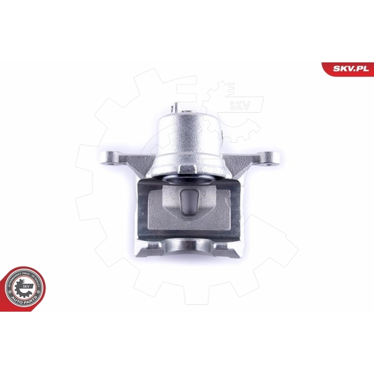 55SKV272 - Brake Caliper 