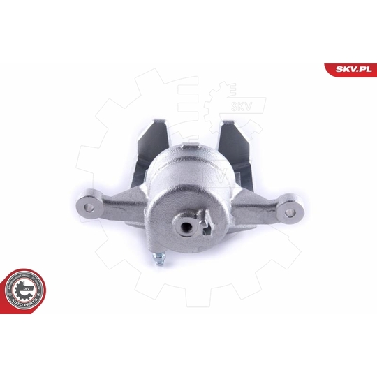 55SKV272 - Brake Caliper 