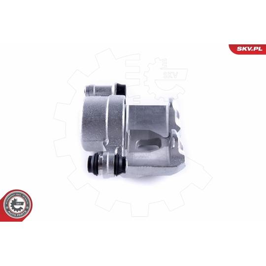 55SKV291 - Brake Caliper 