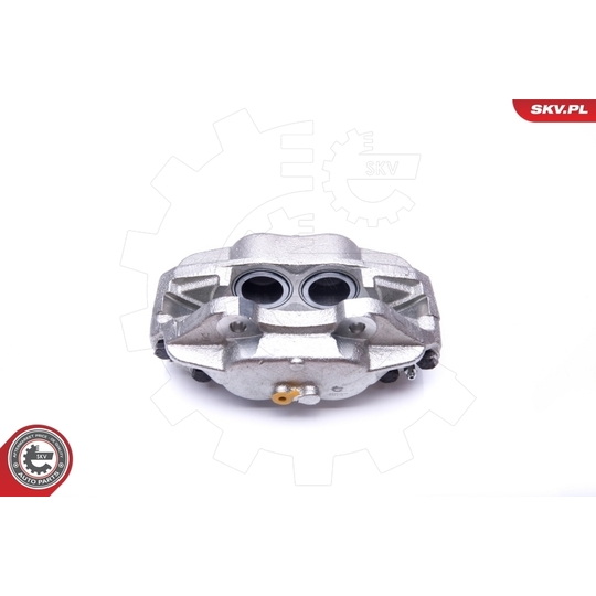 34SKV846 - Brake Caliper 