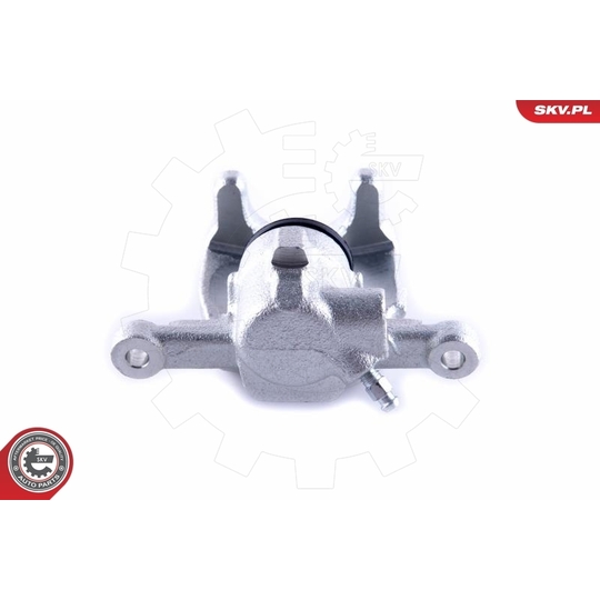 55SKV234 - Brake Caliper 