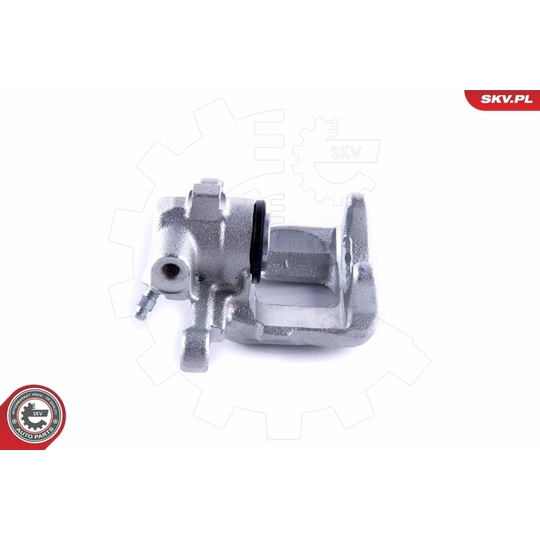 55SKV234 - Brake Caliper 